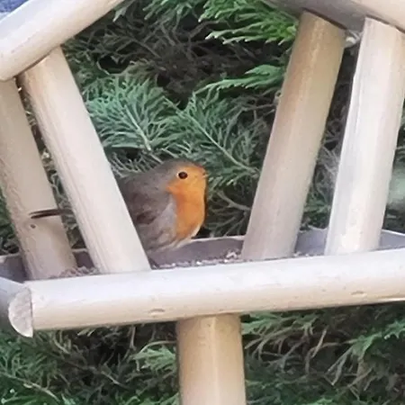 6 Pers, Oostduinkerke Aan Zee * Koksijde